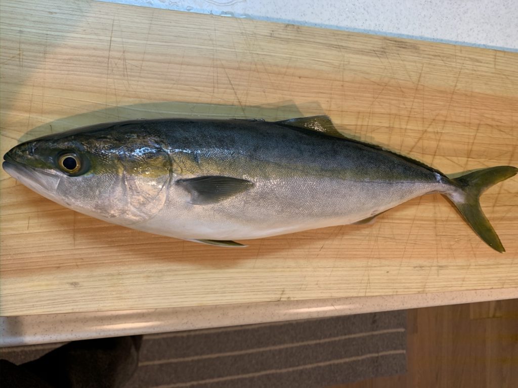 神経締め 船上で簡単に神経締め 魚を美味しく食べる方法を紹介 ジギングワールド